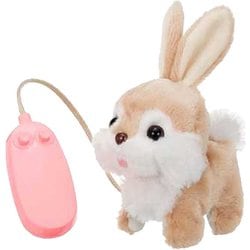 リモコンでおさんぽ ピョンピョンロッピー