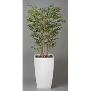 インテリアグリーン 人工観葉植物 光触媒 アートゴールデンツリー 1.8m 114A850-07