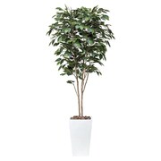 インテリアグリーン 人工観葉植物 光触媒 アートベンジャミン 1.8m 507A480-08
