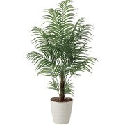 インテリアグリーン 人工観葉植物 光触媒 アレカパーム 1.5m 410A300-11