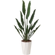 インテリアグリーン 人工観葉植物 光触媒 トラベラーズパーム 1.55m 411A300-13