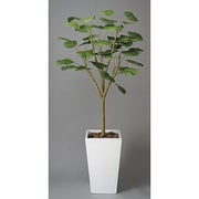 インテリアグリーン 人工観葉植物 光触媒 ウラベラータW 1.8m 118A600-13