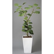インテリアグリーン 人工観葉植物 光触媒 アートウンベラータ 1.8m 120A500-13
