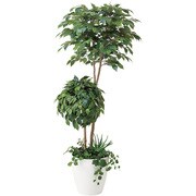 インテリアグリーン 人工観葉植物 光触媒 ベンジャミンダブルフェイス植栽付 1.8m 413A500-15