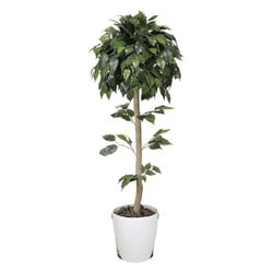 インテリアグリーン 人工観葉植物 光触媒 ベンジャミントピアリー 1.5m 373B240-16
