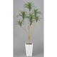 インテリアグリーン 人工観葉植物 光触媒 ユッカ 1.75m 352A370-17