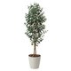 観葉植物 グリーンシリーズ ユーカリ 1.6m 417A280-19