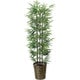 インテリアグリーン 人工観葉植物 光触媒 黒竹 1.35m 178A230-24