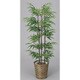 インテリアグリーン 人工観葉植物 光触媒 黒竹 1.2m 177A170-24