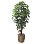 インテリアグリーン 人工観葉植物 光触媒 シュロチク 1.8m 501A400-24