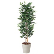 インテリアグリーン 人工観葉植物 光触媒 白樺 1.8m 402A600-25