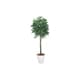 インテリアグリーン 人工観葉植物 光触媒 パキラ 2.0m 140B580-26