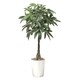 インテリアグリーン 人工観葉植物 光触媒 パキラ 1.25m 510A250-26