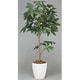 インテリアグリーン 人工観葉植物 光触媒 パキラトピアリー 1.2m 193A180-26