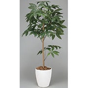 194B250-26 [インテリアグリーン 人工観葉植物 光触媒 パキラトピアリー 1.5m]