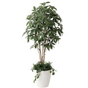 インテリアグリーン 人工観葉植物 光触媒 パキラ 植栽付 1.8m 412A450-26
