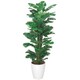 インテリアグリーン 人工観葉植物 光触媒 スプリット 1.2m 374B200-30