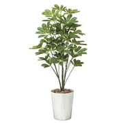 514A150-31 [インテリアグリーン 人工観葉植物 光触媒 シェフレラ 90cm]