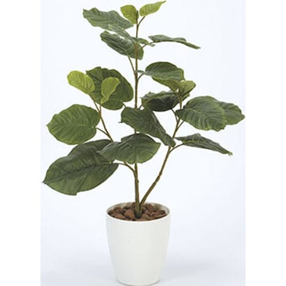 211a100 31 インテリアグリーン 人工観葉植物 光触媒 ウンベラータ 80cm