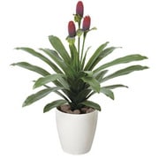223A80-34 [インテリアグリーン 人工観葉植物 光触媒 マガベ花付]