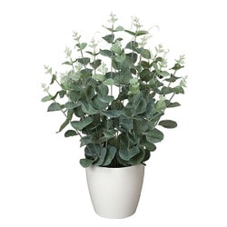 インテリアグリーン 人工観葉植物 光触媒 ユーカリ 385A50-36
