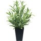 インテリアグリーン 人工観葉植物 光触媒 ツートンスパイダー 519A70-37