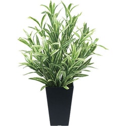 インテリアグリーン 人工観葉植物 光触媒 ツートンスパイダー 519A70-37
