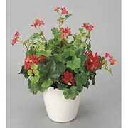 インテリアグリーン 人工観葉植物 光触媒 ゼラニューム 244B75-37