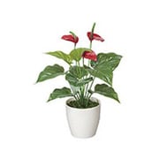 389A35-37 [インテリアグリーン 人工観葉植物 光触媒 フレッシュアンスリューム]