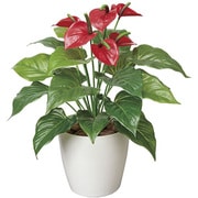 390A60-37 [インテリアグリーン 人工観葉植物 光触媒 フレッシュアンスリュームM]