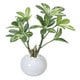 インテリアグリーン 人工観葉植物 光触媒 シェフレラポット 246A30-39