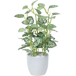 インテリアグリーン 人工観葉植物 光触媒 ミニピポエスタポット 525A25-40