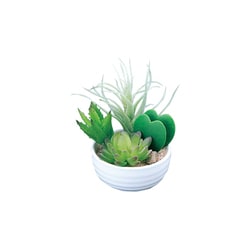 インテリアグリーン 人工観葉植物 光触媒 寄せ植えラブリー 232A40-40
