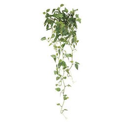 ヨドバシ Com アートクリエイション アートグリーン 272b35 41 インテリアグリーン 人工観葉植物 光触媒 壁掛フィロ 通販 全品無料配達
