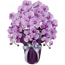 フランソワ　ピロ　赤と白の花　カーボンランダム　現代アート　一点もの フランソワピロ赤と白の花カーボンランダム現代アート一点もの