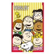 SNMR862 [日本製折りたたみミラー Sサイズ ピーナッツ オールスター]