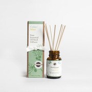MINI REED DIFFUSER CEDAR MINT