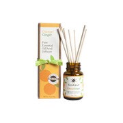 MINI REED DIFFUSER ORANGE GINGER