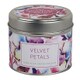 Chelsea ティンキャンドル VELVET PETALS