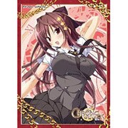ねくねっとガールズスリーブコレクション Vol.013 クロノクロック 城之内 真琴 [トレーディングカード用品]