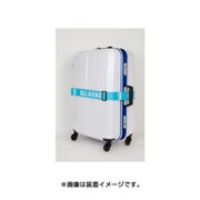 ラブライブ！ これコンベルト 絢瀬絵里 [約幅50mm×長さ2000mm]