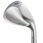 DolphinWedge DW-115G ウェッジ Dolphin DP-151（カーボン）（S） ロフト角48度 2015年モデル [ゴルフ ウェッジ]