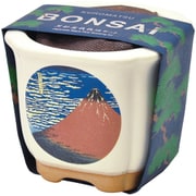 GD-640-04 [JAPANESE BONSAI 赤富士]