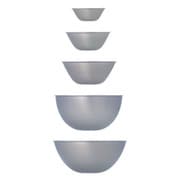 ステンレスボール フルサイズ 5pcs 311050