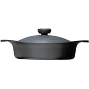 南部鉄器シリーズ 鉄鍋 浅型 22cm 鉄器ふた ハンドル付き YT-3