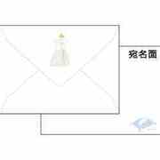 クラッシー封筒 シンデレラ DZ-77129