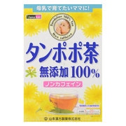 タンポポ茶100％ 2g×20包 [茶類]