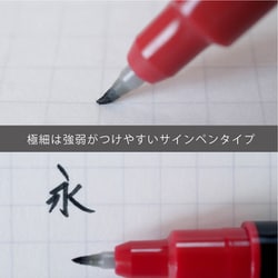 ヨドバシ.com - ぺんてる Pentel XSFW34A [筆文字ペン ツイン 太字