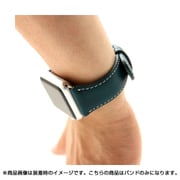 SD6598AW [Apple Watch 42mm用バンド D6 IMBL グリーン]