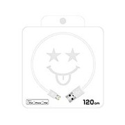 Lightning スマイル USB ケーブル 120cm シルバー QL-250SV